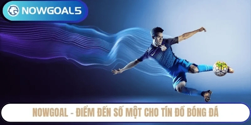 giới thiệu Vai trò của Nowgoal trong việc hỗ trợ người chơi