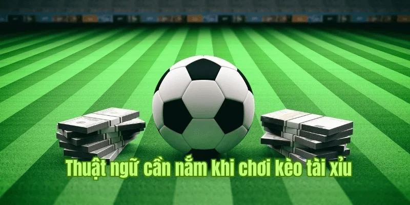 kinh nghiệm soi kèo tài xỉu bóng đá Chiến thuật quan trọng trong kinh nghiệm soi kèo tài xỉu bóng đá