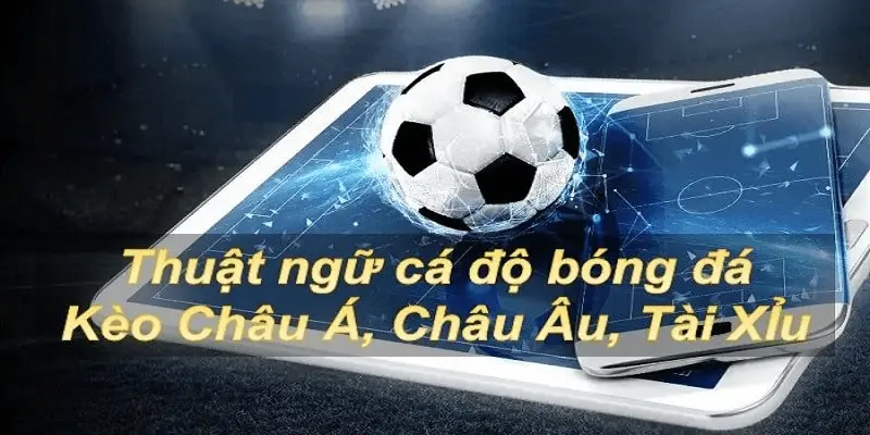 thuật ngữ cá độ bóng đá Thuật ngữ liên quan đến kèo tài xỉu